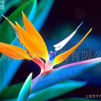 分散劑EFKA5065，防浮色發(fā)花分散劑EFKA5065