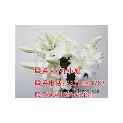 聚氨酯樹脂 1048軟發(fā)泡料 柔軟動漫定格專用 PU發(fā)泡膠 仿真花草樹葉發(fā)泡劑
