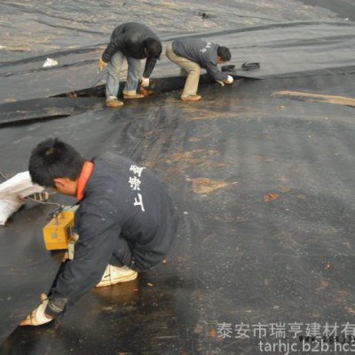 瑞亨出品 hdpe復合土工膜