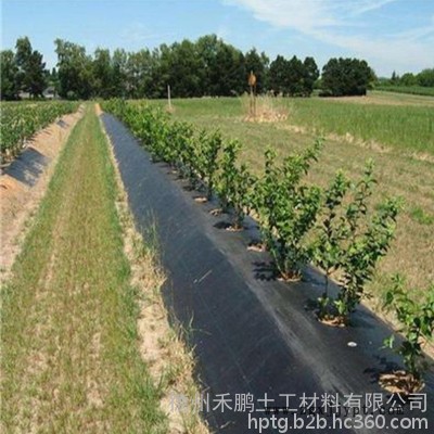 禾鵬 防草布廠家PP防草布價(jià)格