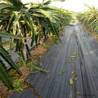 宇潤(rùn)源頭園藝地布每卷1米500米-6200米 茶園防草布-- 葡萄園 苗圃防草布 蘋果園花卉防草布