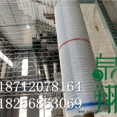 呼蘭區(qū)pe拉絲機(jī)捆草網(wǎng)廠家 出口外貿(mào)牧草圓捆機(jī)專(zhuān)用打包網(wǎng)