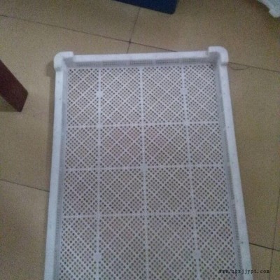 天仕利供應食品級單凍盤子 食品塑料盤 單凍器