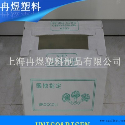 直銷(xiāo)環(huán)保出口塑料中空板箱折疊周轉(zhuǎn)箱 堅(jiān)固耐用