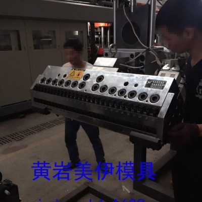 片材PP擠出成型模具 精密片材擠出模具，臺州黃巖PMMA片材模具，