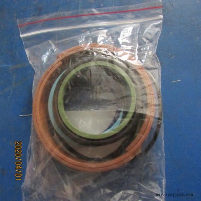 供應徐工裝載機配件860110556 HSGK-100/55BE-EC夾木鉗油缸密封件(張家口)