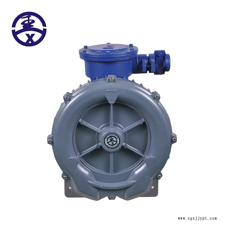 沼氣/天然氣體專用高壓防爆氣泵，防爆漩渦氣泵示例圖6